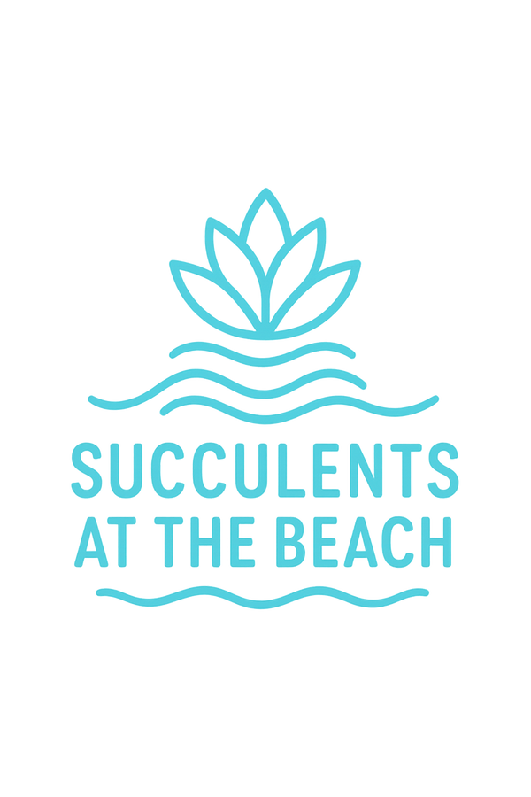 Succulents at the Beach