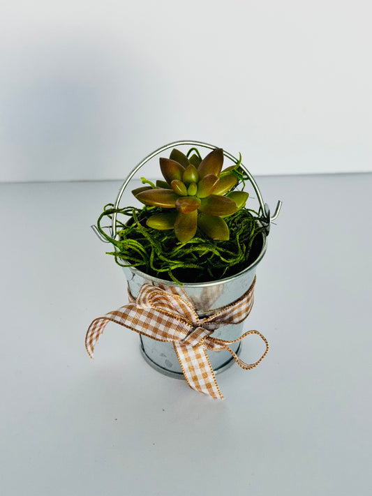 Tin bucket 2 in